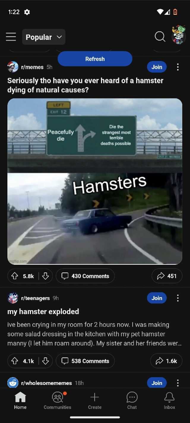 122 E Popular v r/memes 5h maflip.com Seriously tho have you ever heard of a hamster dying of natural causes t 5.8k LEFT CXIT 12 r/teenagers 9h Peacefully die t 4.1k my hamster exploded Home Refresh Hamsters LJ 430 Comments Die th