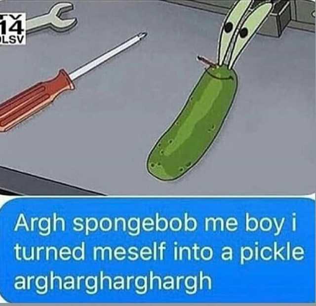 14 Lsv Argh spongebob me boy i turned meself into a pickle arghargharghargh