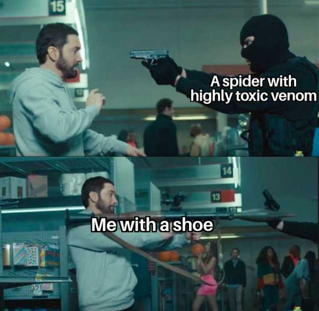 15 Aspider with highly toxic venom 13 3 Mewithashoe