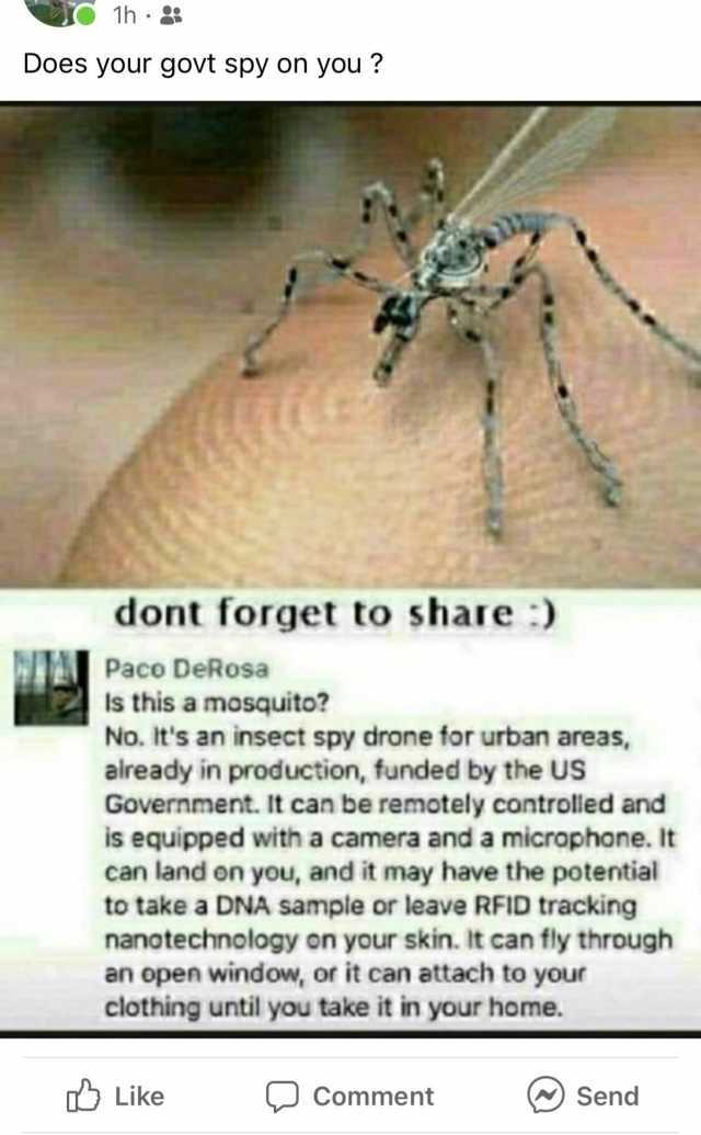 1h Does your govt spy on you  dont forget to share ) Paco DeRosa Is this a mosquito No. Its an insect spy drone for urban areas already in production funded by the US Government. It can be remotely controlled and is equipped with 