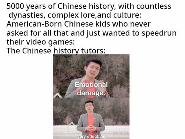5000 years of Chinese history with countless dynasties complex loreand culture American-Born Chinese kids who never asked for all that and just wanted to speedrun their video games The Chinese history tutors Emotional damage. Very