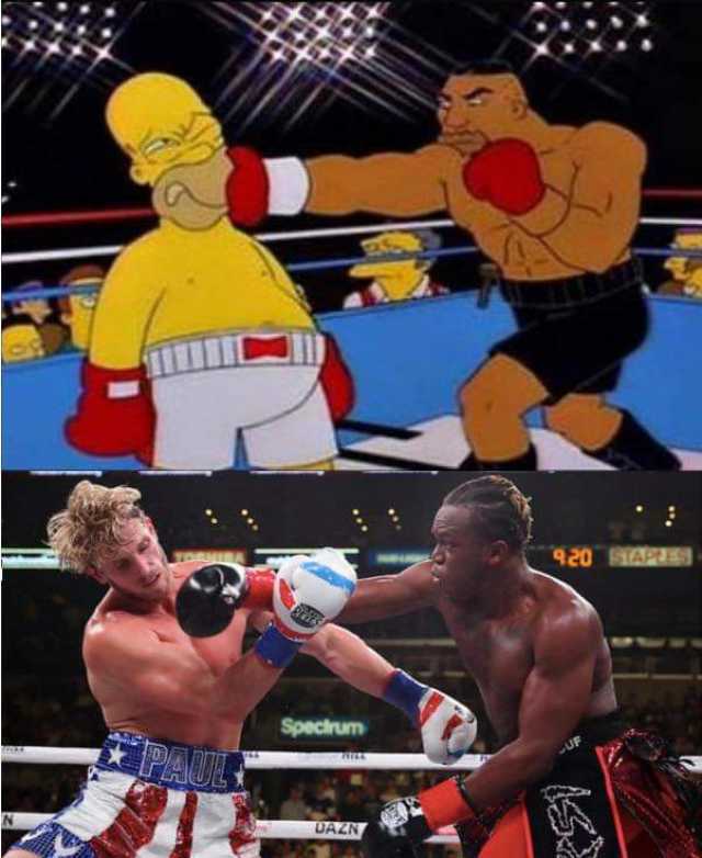 Homer boxing
