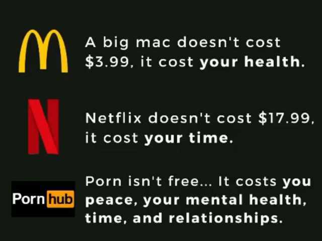 A big mac doesnt cost $3.99 it cost your health. Netflix doesnt cost $17.99 it cost your time. Porn isnt free... It costs you Porn hub peace your mental health time and relationships.