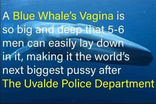 A Blue Whales Vagina is so big and deep that 5-6 men can easily lay down init making it the worlds next biggest pussy after The Uvalde Police Department