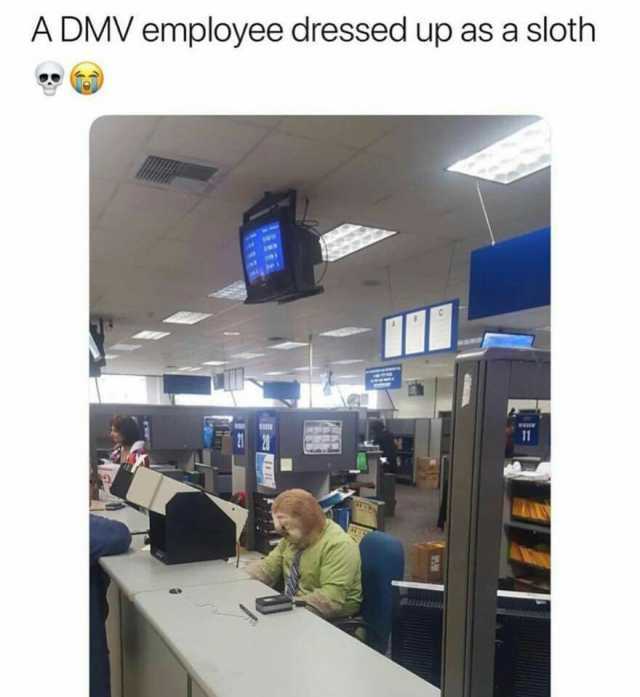 A DMV employee dressed up as a sloth M 11