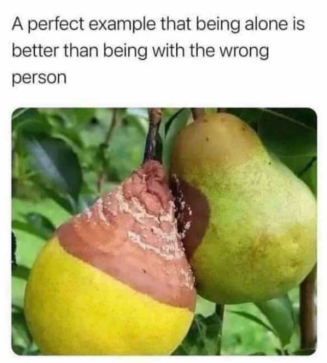 A perfect example that being alone is better than being with the wrong person