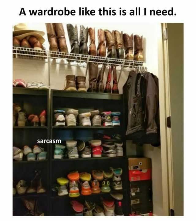 A wardrobe like this is all I need. sarcas