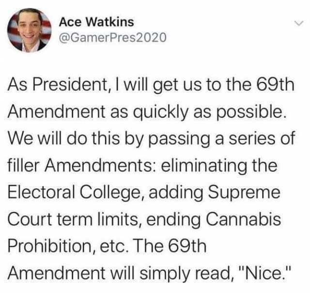 Ace Watkins @GamerPres2020 As President I will get us to the 69th Amendment as quickly as possible. We will do this by passing a series of filler Amendments eliminating the Electoral College adding Supreme Court term limits ending