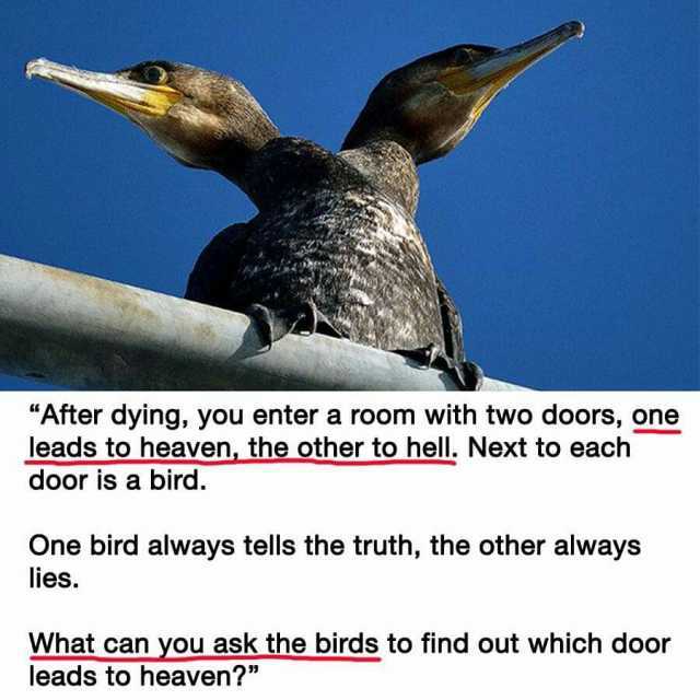en.dopl3r.com - After dying you enter a room with two doors one leads to  heaven the other to hell. Next to each door is a bird. One bird always  tells the truth