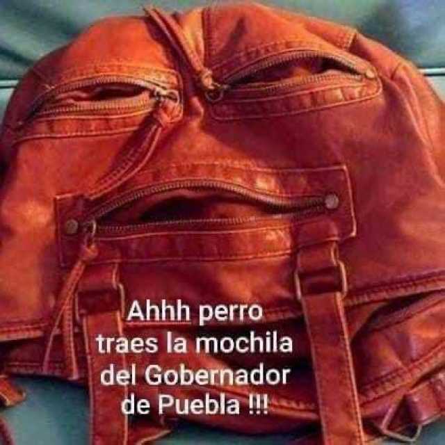 Ahhh perro traes la mochila del Gobernador de Puebla !!