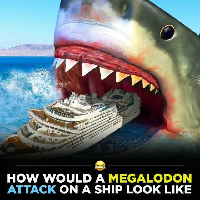 aililii HOW WOULDA MEGALODON ATTACK ON A SHIP LOOK LIKE