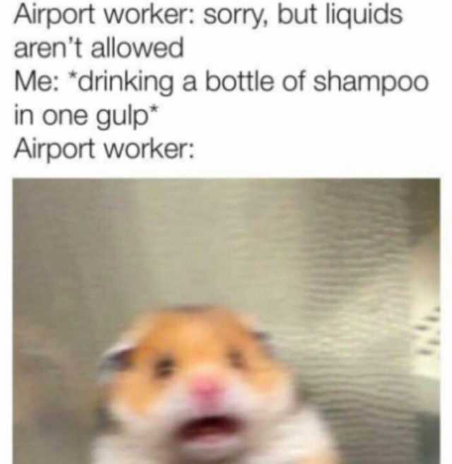 Airport worker sorry but liquids arent allowed Me drinking a bottle of shampoo in one gulp Airport worker