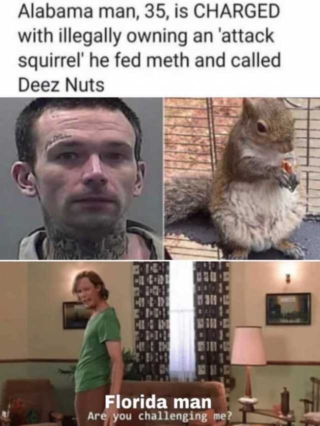 Alabama man 35 is CHARGED with illegally owning an attack squirrel he fed meth and called Deez Nuts Florida man Are you challenging me? 