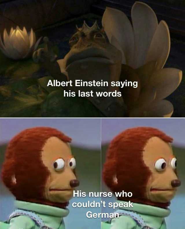 Albert Einstein saying his last words His nurse who couldnt speak Germa
