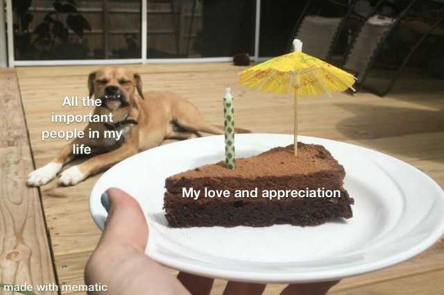 All the important people in my life My love and appreciation made with mematic