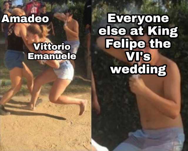 Amadeo Everyone else at King Felipe the VIS wedding VittorioO Emanuele