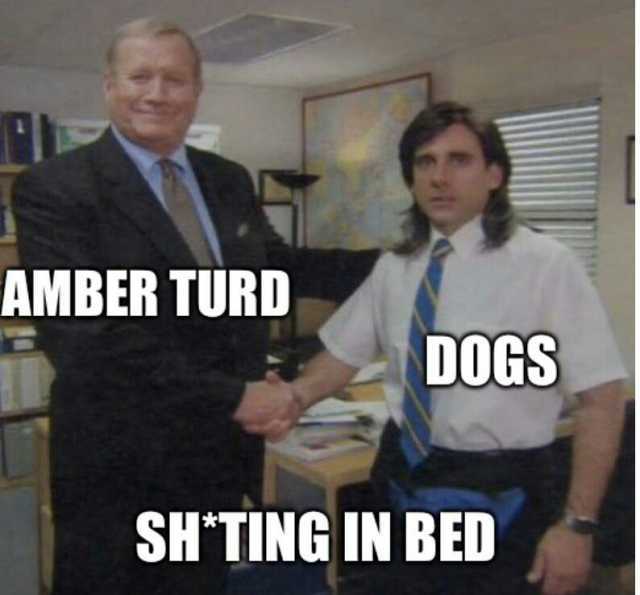 AMBER TURD DOGS SHTING IN BED