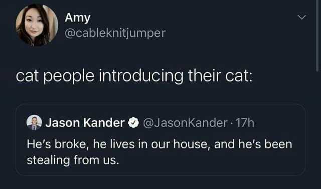 Amy @cableknitjumper cat people introducing their cat Jason Kander@Jason Kander 17h Hes broke he lives in our house and hes been stealing from us.