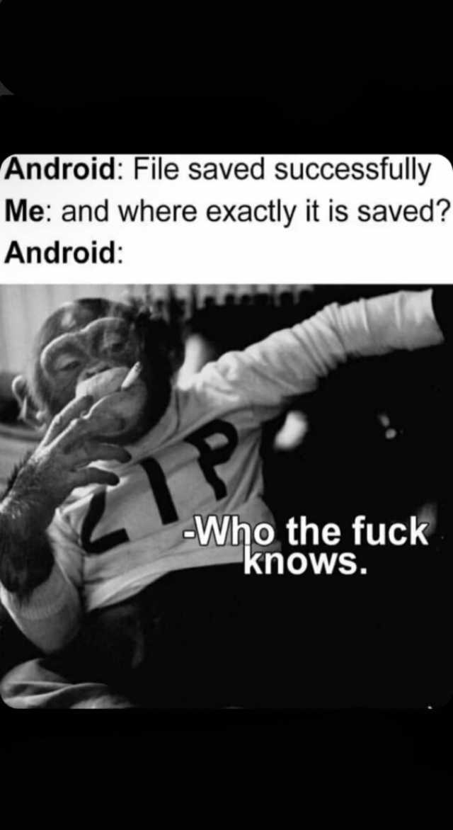 Android File saved successfully Me and where exactly it is saved Android Who the fuck knows.