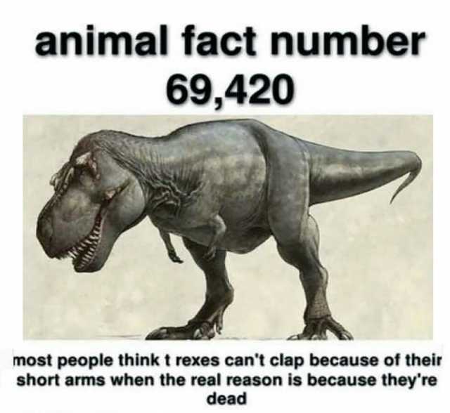 animal fact number 69420 most people think t rexes cant clap because of their short arms when the real reason is because theyre dead