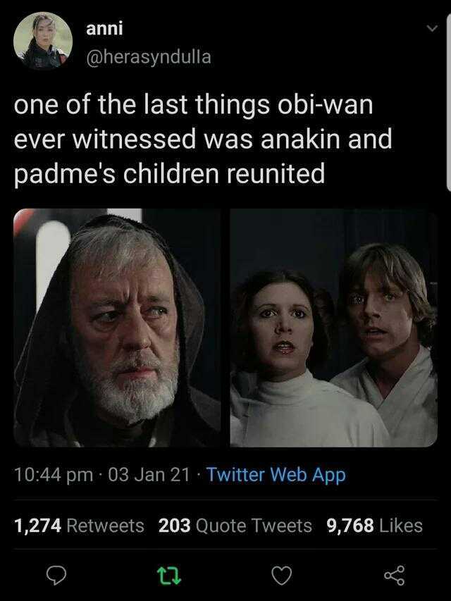 anni @herasyndulla one of the last things obi-wan ever witnessed was anakin and padmes children reunited 1044 pm 03 Jan 21 Twitter Web App 1274 Retweets 203 Quote Tweets 9768 Likes t