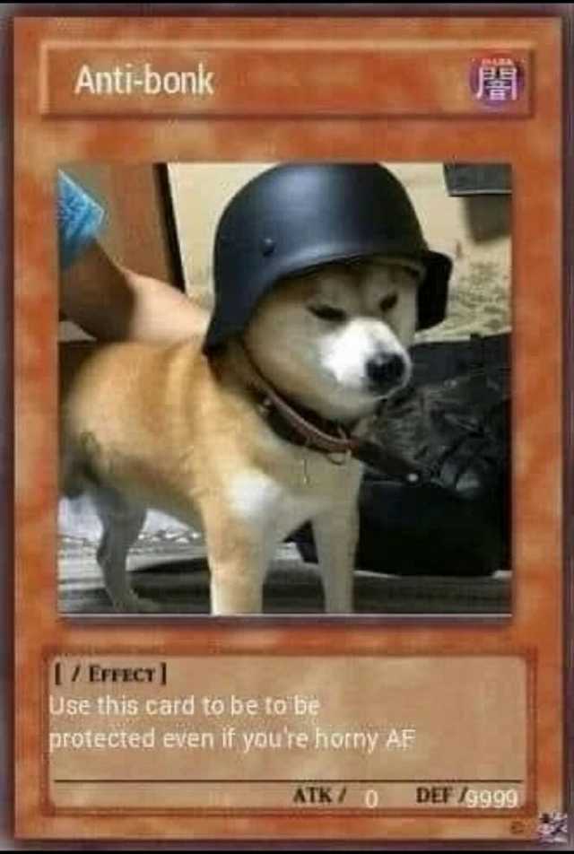 Anti-bonk 1/ErFECT1 Use this card to be to be protected even if youre horny AF ATK 0 DEF 9999