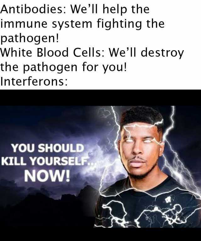 Antibodies Well help the immune system fighting the pathogen! White Blood Cells Well destroy the pathogen for you! Interferons YOU SHOULD KILL YOURSEL NOW!