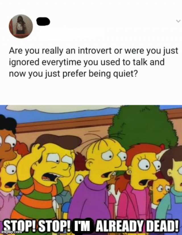 Are you really an introvert or were you just ignored everytime you used to talk and now you just prefer being quiet? STOP! STOP! IM ALREADY DEAD! imgflip.com 