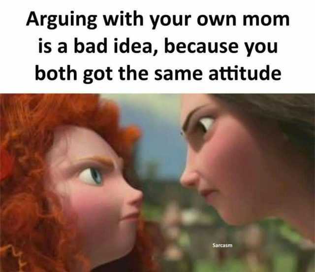 Arguing with your own mom is a bad idea because you both got the sanme attitude Sarcasm
