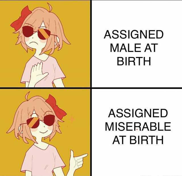 ASSIGNED MALE AT BIRTH ASSIGNED MISERABLE AT BIRTH