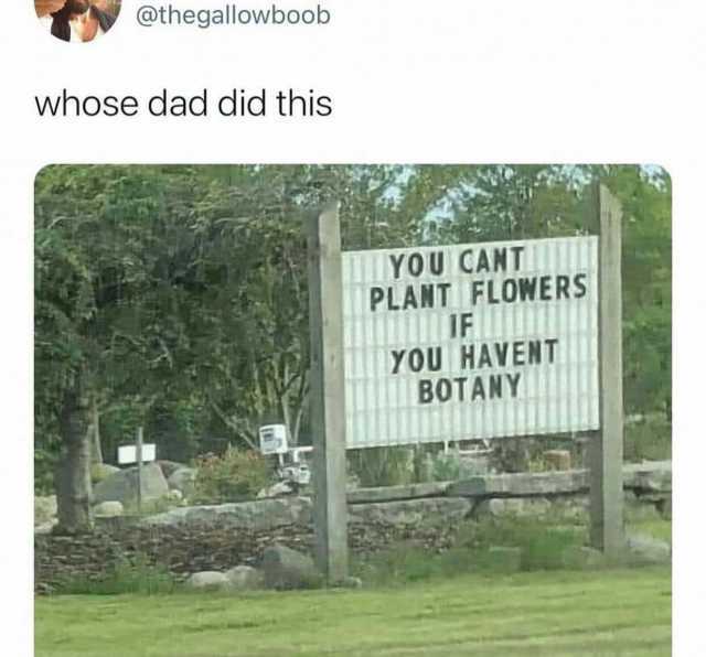@thegallowboob whose dad did this IYOU CANT PLANT FLOWERS IF YOU HAVENT BOTANY