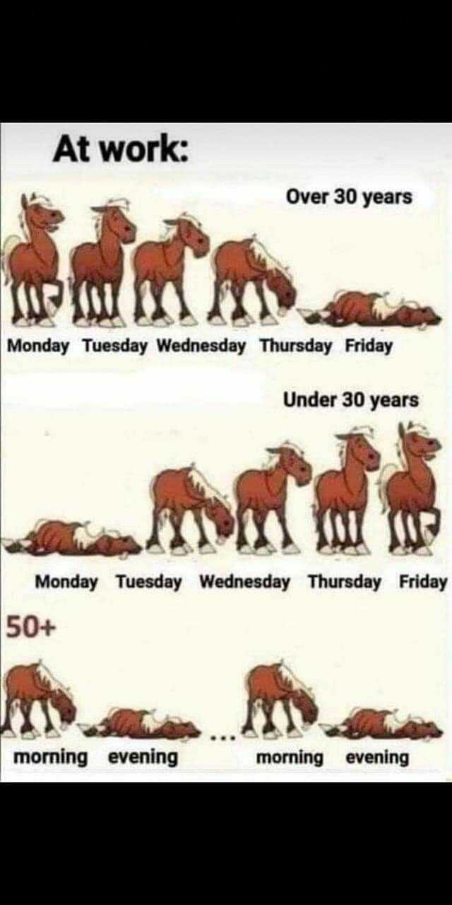 At work Over 30 years Monday Tuesday Wednesday Thursday Friday Under 30 years Monday Tuesday Wednesday Thursday Friday 50+ morning evening morning evening