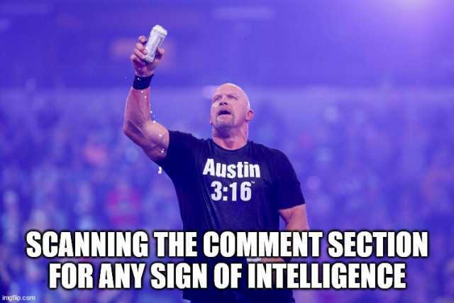 Austin 316 SCANNING THE COMMENT SECTION FOR ANY SIGN OF INTELLIGENCE .com