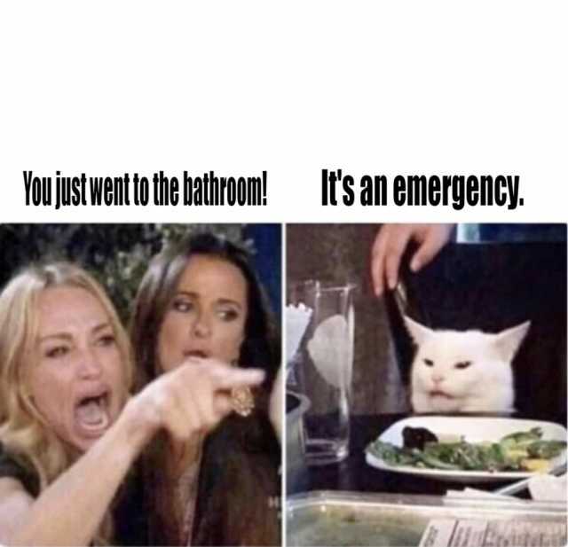 Bathroom/Emergency