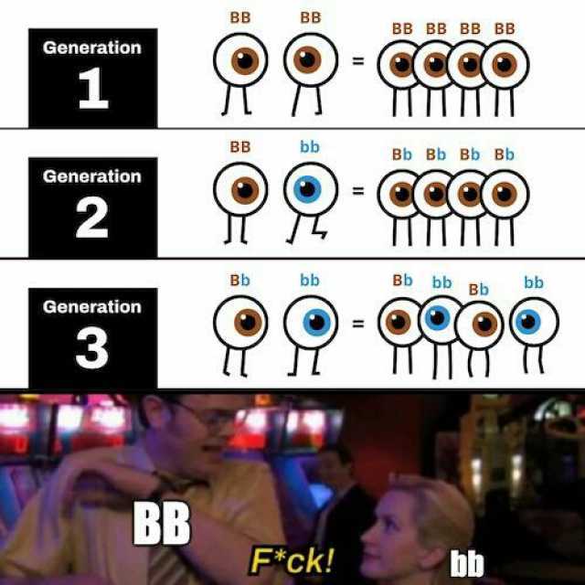 BB BB BB BB BB BB Generation 1 BB bb Bb Bb Bb Bb Generation 2 Bb Bb bb Bb bb bb Generation 3 BB Fck! bb