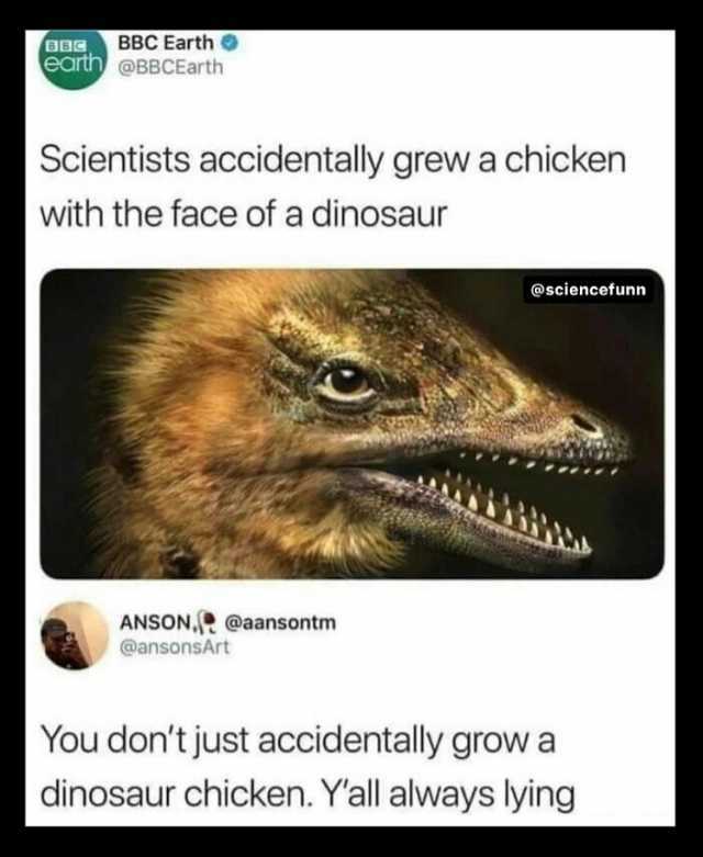 BBC Earth eartn@BBCEarth Scientists accidentally grew a chicken with the face of a dinosaur @sciencefunn ANSON@aansontm @ansonsArt You dont just accidentally grow a dinosaur chicken. Yall always lying