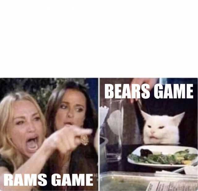 Bears game cat