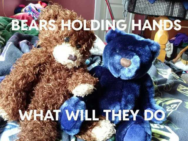 BEARS HOLDING HANDSS WHAT WILL THEY DO