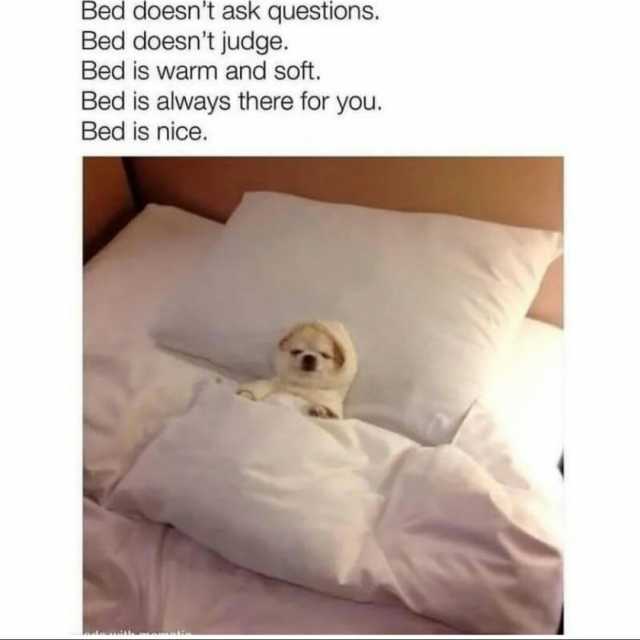 Bed doesnt ask questions. Bed doesnt judge. Bed is warm and soft. Bed is always there for you. Bed is nice.