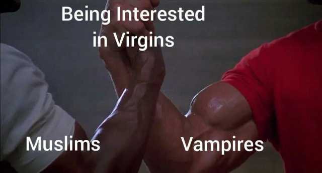 Being Interested in Virgins Muslims Vampires