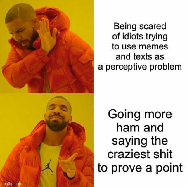 Being scared of idiots trying to use memes and texts as a perceptive problem Going more ham and saying the craziest shit to prove a point imgflip.com