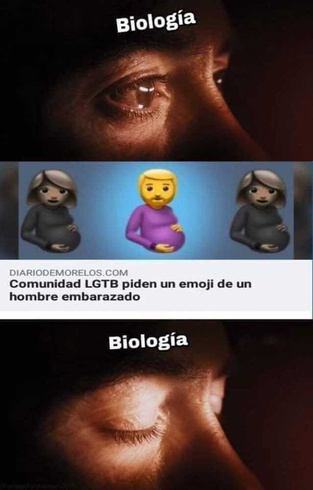 Biología DIARIODEMORELOS.COM Comunidad LGTB piden un emoji de un hombre embarazado Biología B 