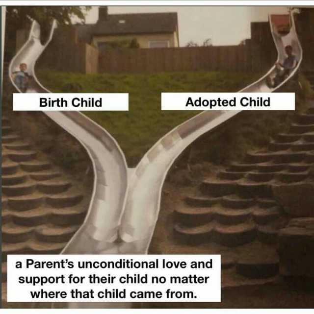 Birth Child Adopted Child a Parents unconditional love and support for their child no matter where that child came from.