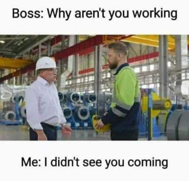 Boss Why arent you working Me I didnt see you coming 