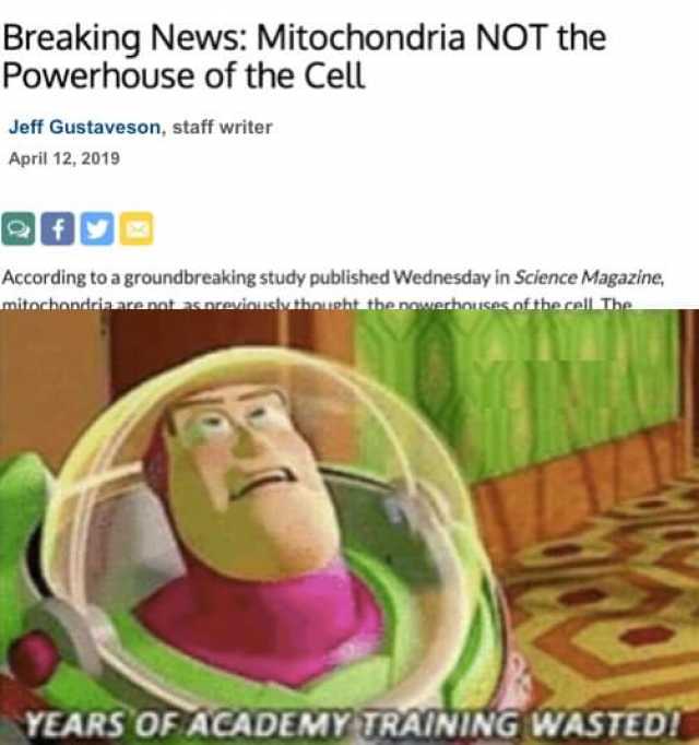 Breaking News Mitochondria NOT the Powerhouse of the Cell Jeff Gustaveson staff writer April 12 2019 f According to a groundbreaking study published Wednesday in Science Magazine mitochondria are pat as previouslythousht the nower
