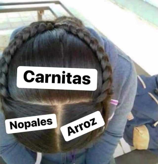Carnitas Nopales Arroz 