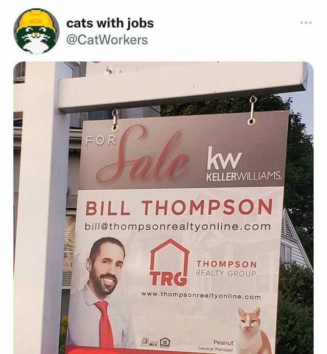 cats with jobs @CatWorkers FOR kw KELLERWILLIAMS. BILL THOMPSON bill@thompsonrealtyonline.com THOMPSON REALTY GROUP TRG www.thompsonrealtyonline.com Peanut General Manager