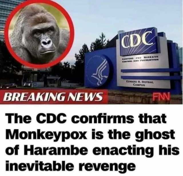 CDC wTENS e OsKASE EoWARD R. ROVBAL CAMPUS BREAKING NEWS FN The CDC confirms that Monkeypox is the ghost of Harambe enacting his inevitable revenge