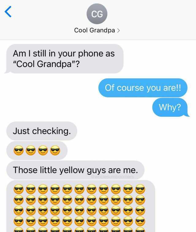 CG Just checking. Cool Grandpa  Am I still in your phone as Cool Grandpa Of course you are!! Those little yellowW guys are me. Owholesumboomers Why