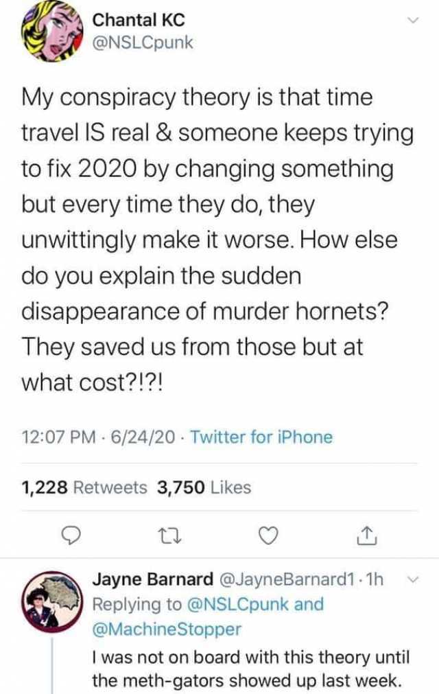 Chantal KC @NSLCpunk My conspiracy theory is that time travel IS real & someone keeps trying to fix 2020 by changing something but every time they do they unwittingly make it worse. How else do you explain the sudden disappearance